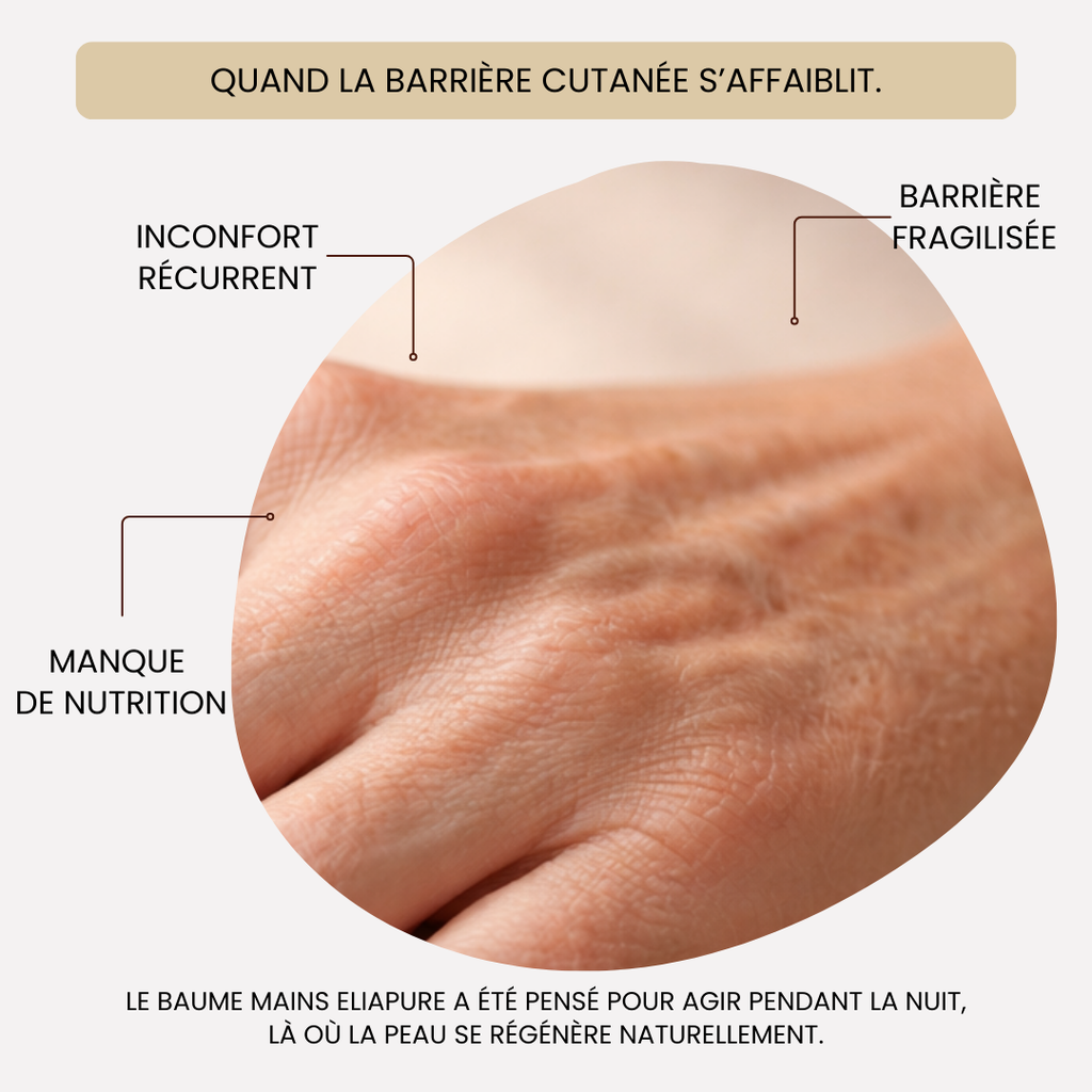 Baume nuit pour les mains au miel de Manuka — 200 ml
